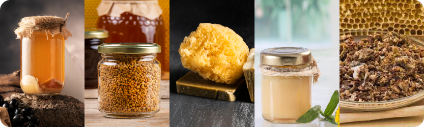 Bulk natural honey and bee products for food, cosmetics, pharmaceuticals, and wellness industries.